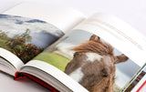Chile Rodeo