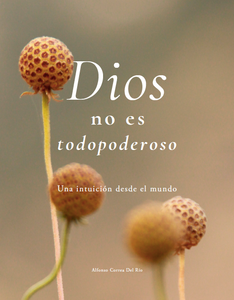 Dios no es todopoderoso: Una intuición desde el mundo