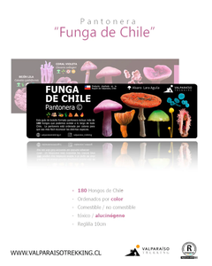 Pantonera FUNGA de Chile.